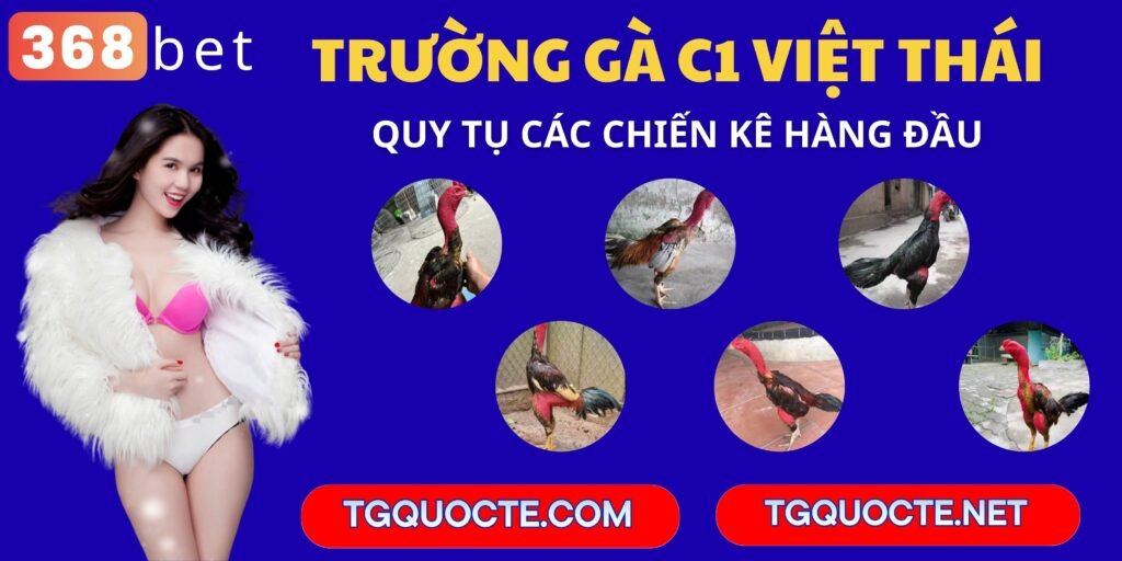 các chiến kê tạo trường gà việt thái