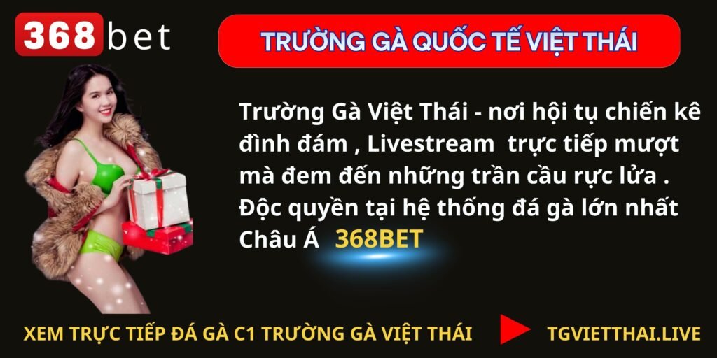 Trường gà việt thái